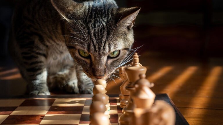 5 Things To Consider As You Complete Your Strategic Plan